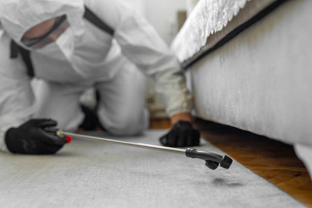 Professional Pest Control technician working in Dallas County County, TX